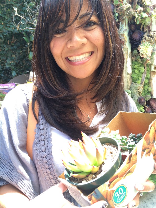 MothersDaySucculents